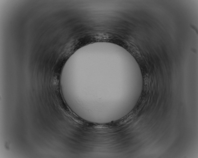 X0000093620614200710151042