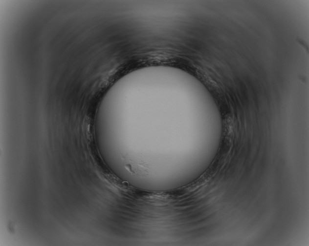X0000093620615200710151041