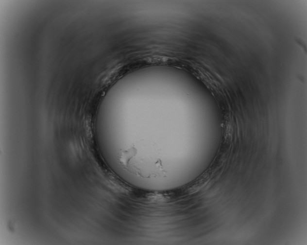 X0000093620616200710151041