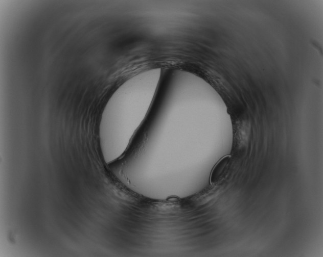 X0000093620619200710151041