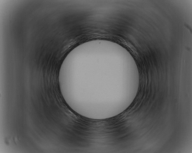 X0000093620621200710151041