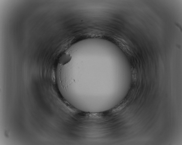 X0000093620622200710151041