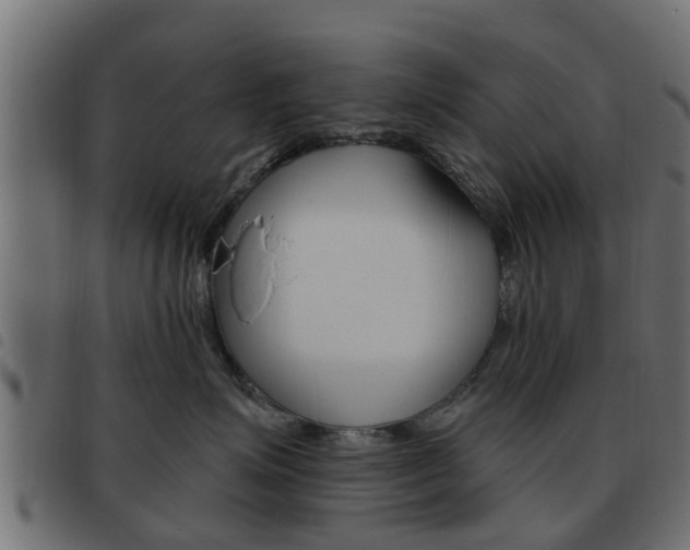 X0000093620623200710151041