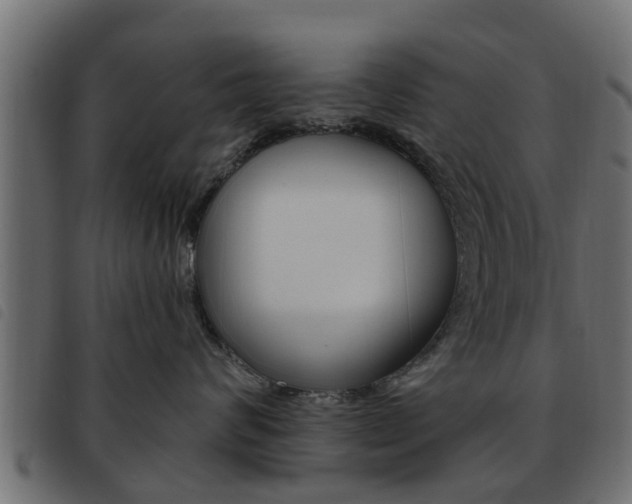 X0000093620624200710151041