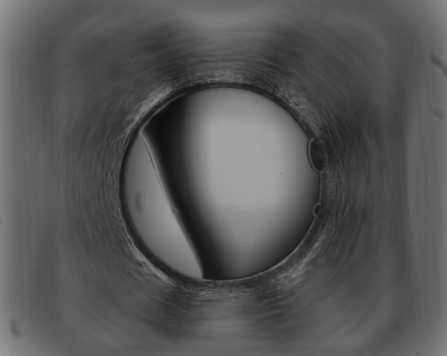 X0000093620625200710151041