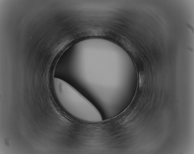 X0000093620627200710151041