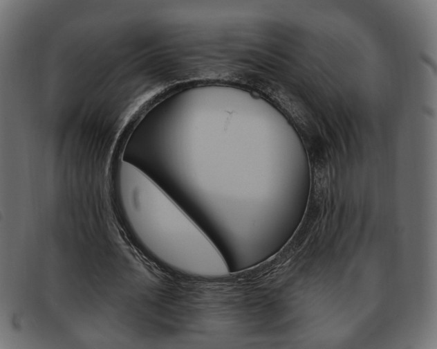 X0000093620628200710151041