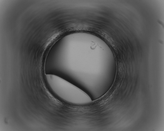 X0000093620629200710151041