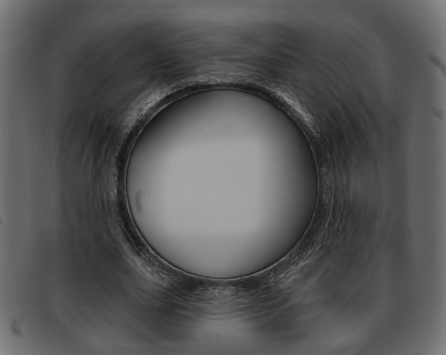X0000093620631200710151041