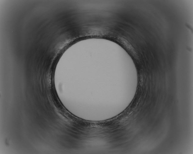 X0000093620632200710151041
