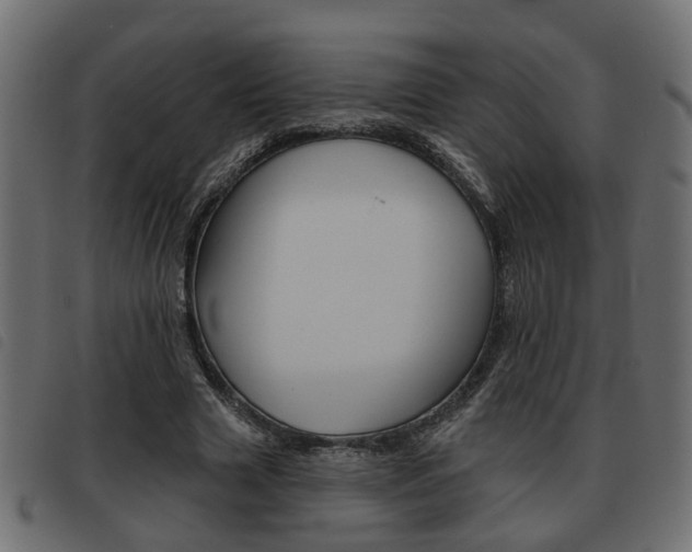 X0000093620633200710151041