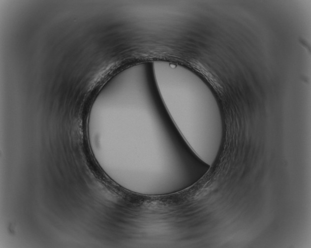 X0000093620634200710151041