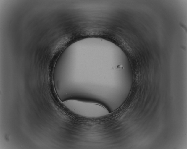 X0000093620635200710151041