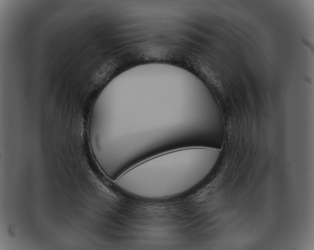 X0000093620637200710151041
