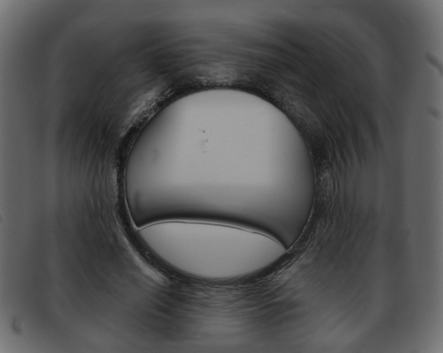 X0000093620638200710151041