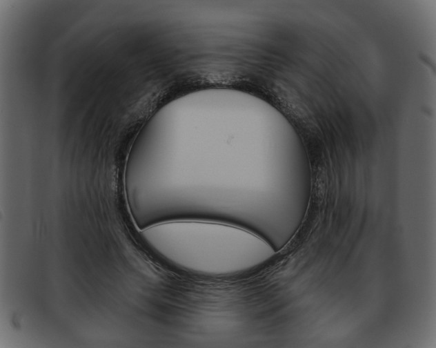 X0000093620639200710151041