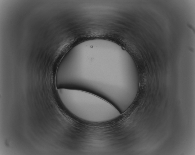 X0000093620640200710151041