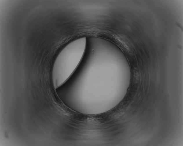 X0000093620641200710151041
