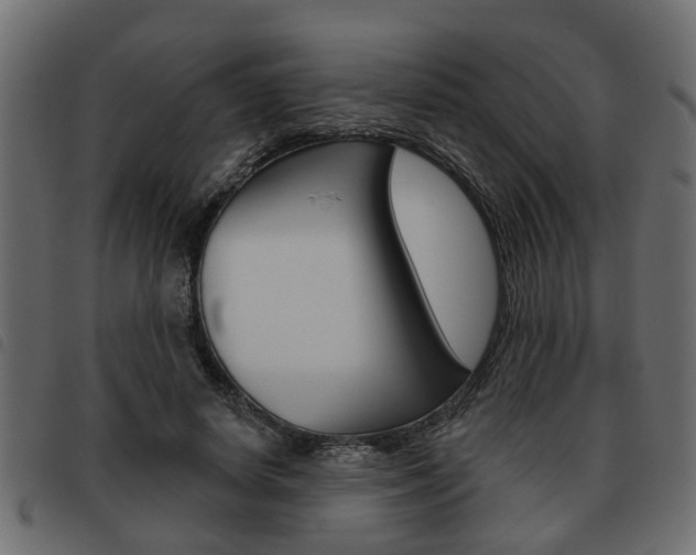 X0000093620642200710151041
