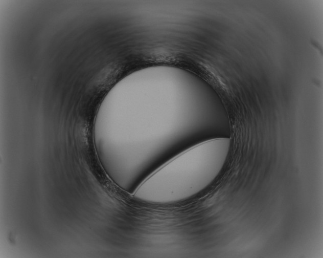 X0000093620643200710151041