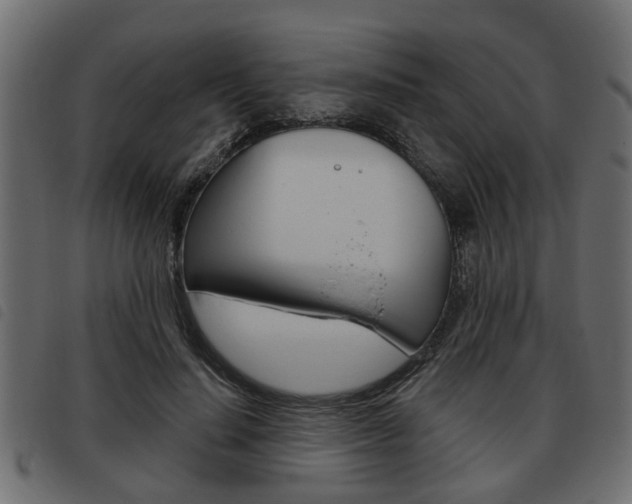 X0000093620644200710151041