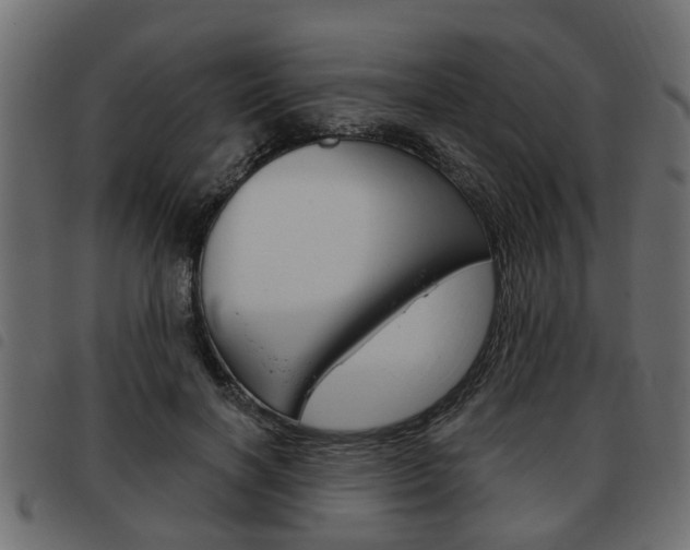 X0000093620646200710151041