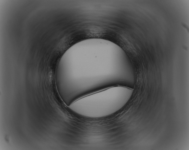 X0000093620647200710151041