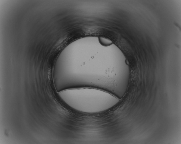 X0000093620648200710151041