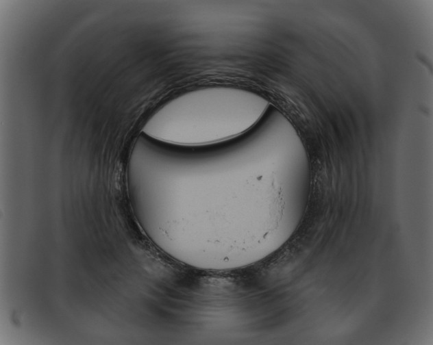 X0000093620649200710151041