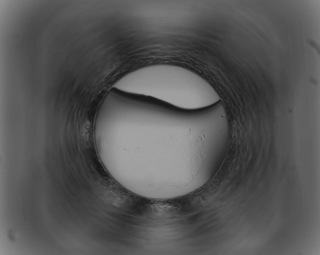 X0000093620650200710151041