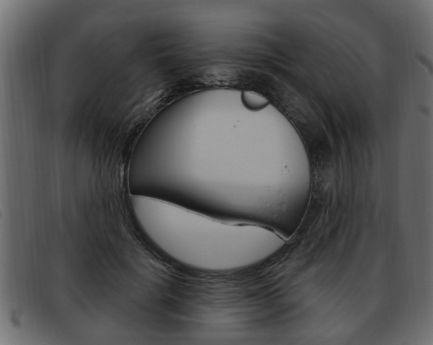 X0000093620652200710151041