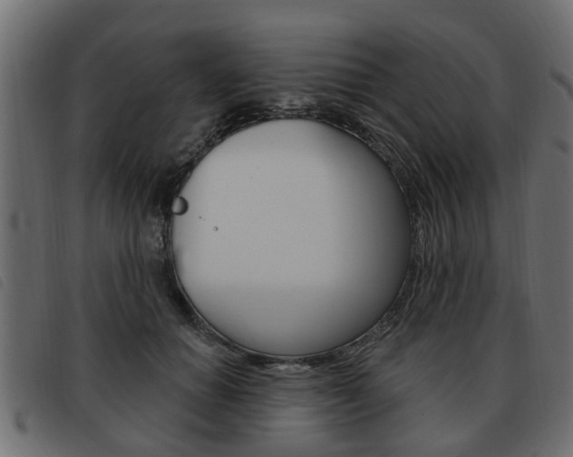 X0000093620654200710151041