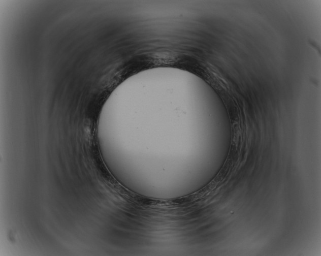 X0000093620655200710151041