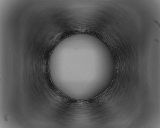 X0000093620656200710151041