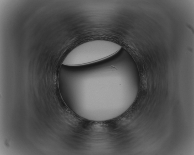 X0000093620657200710151041