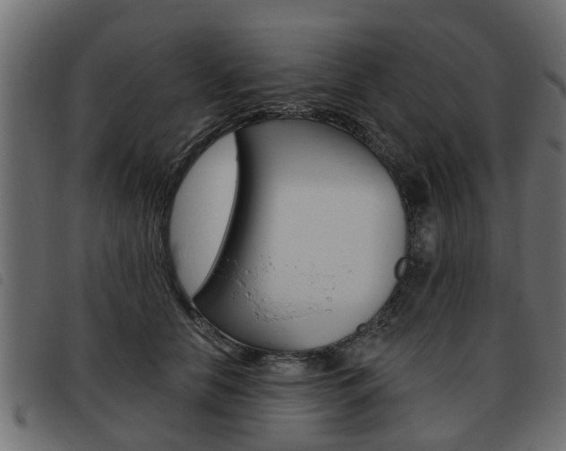 X0000093620658200710151041