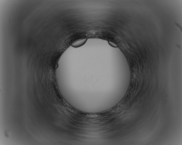 X0000093620659200710151041