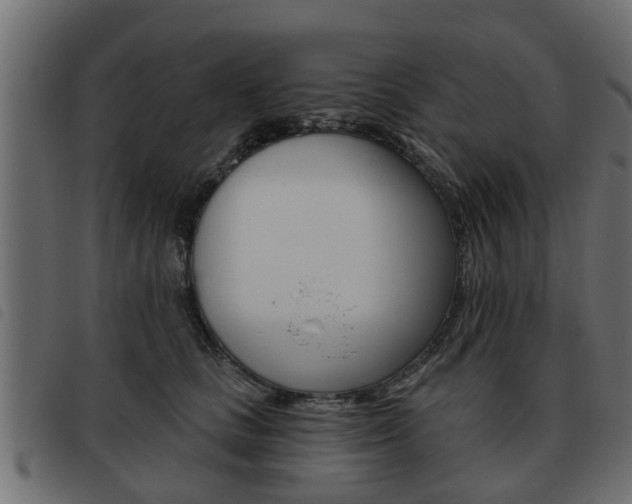 X0000093620661200710151041