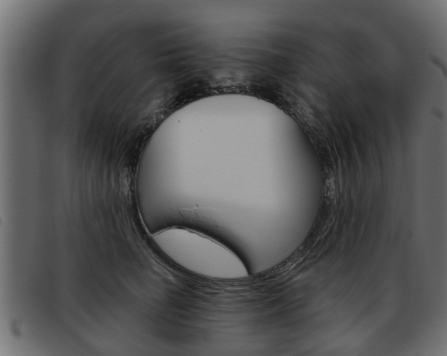 X0000093620662200710151041