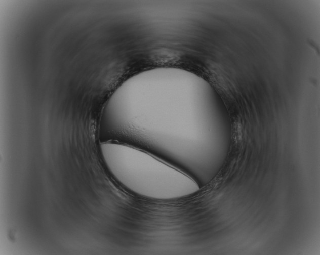 X0000093620664200710151041