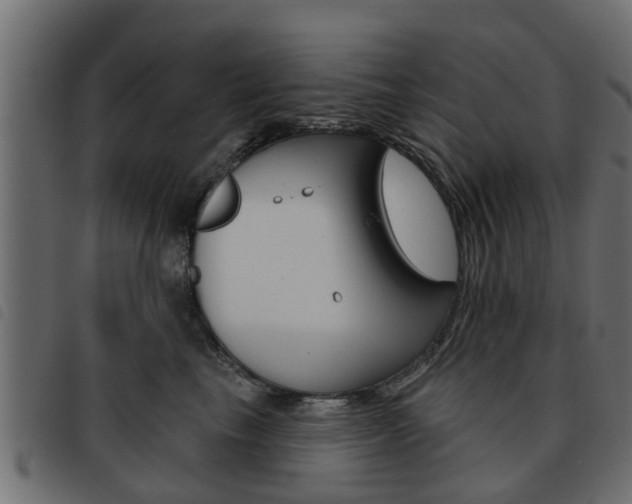 X0000093620665200710151041