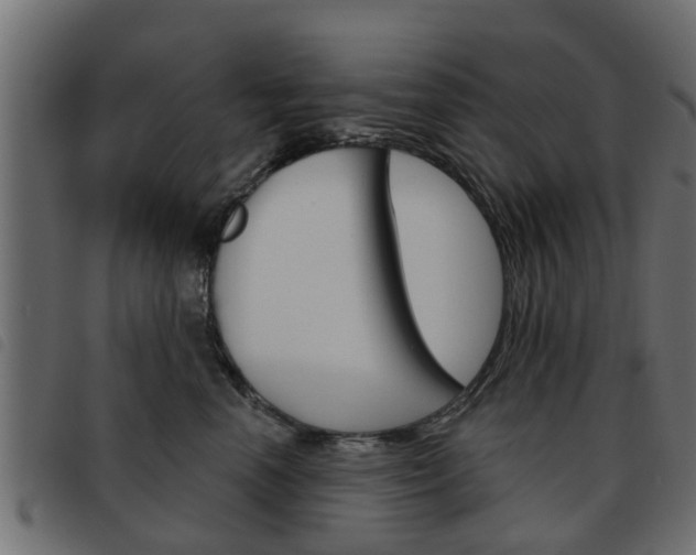 X0000093620666200710151041