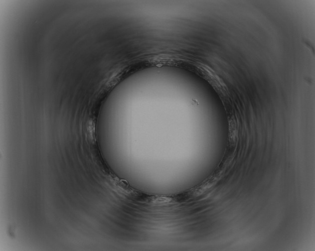 X0000093620669200710151041