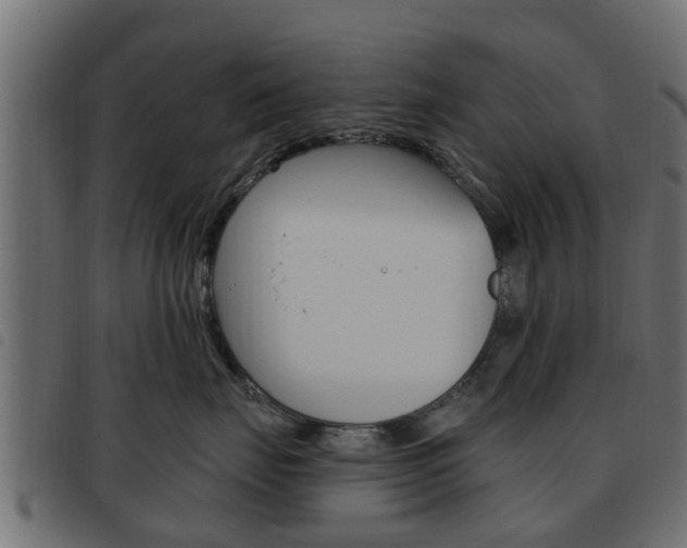 X0000093620671200710151041