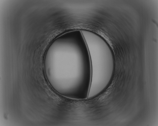 X0000093620673200710151041