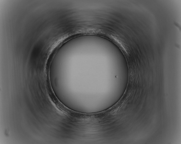 X0000093620674200710151041