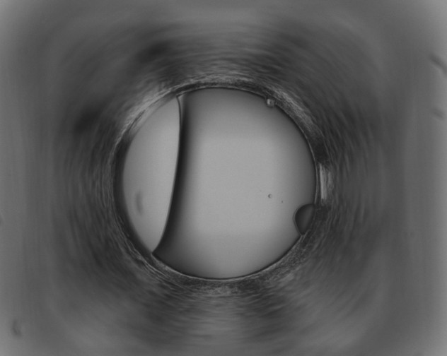 X0000093620675200710151041