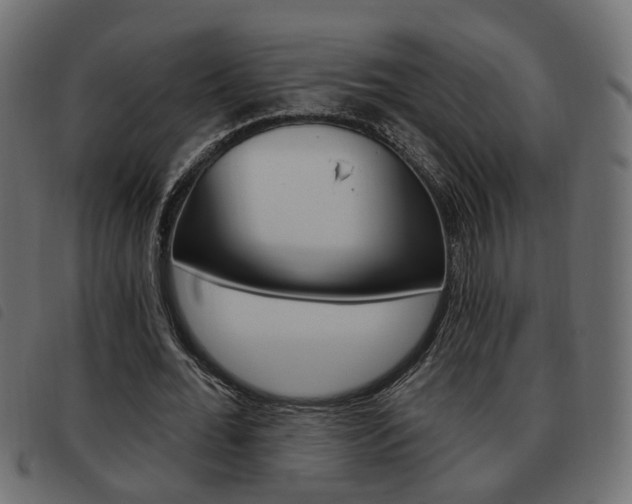 X0000093620676200710151041