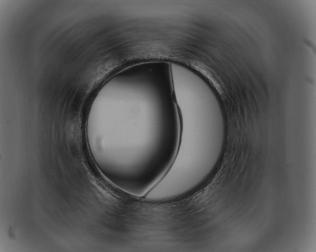 X0000093620677200710151041