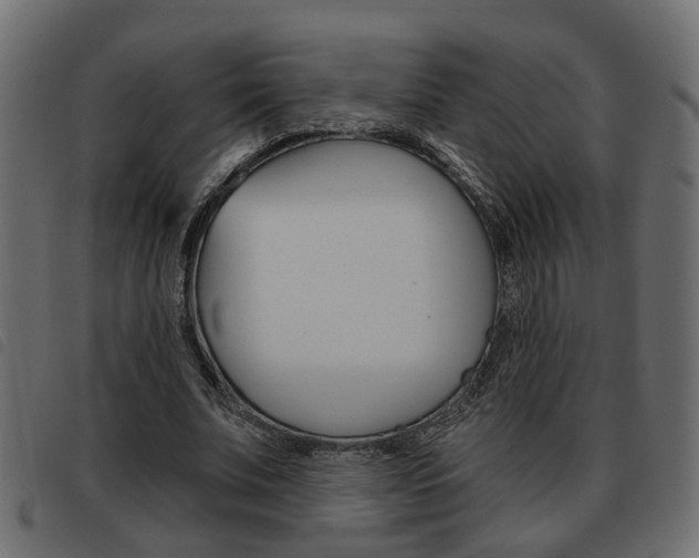 X0000093620679200710151041